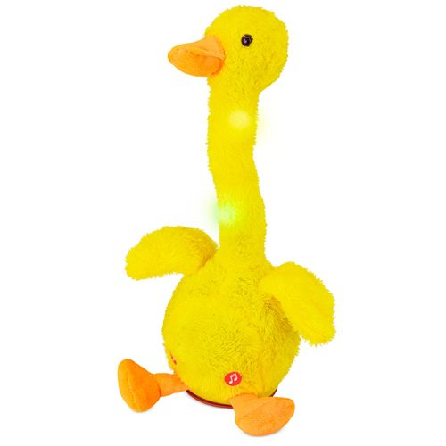 Pato bailarín "duky" - Imagen 3