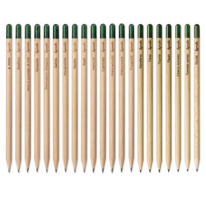Lápiz Sprout de madera sostenible con mina de grafito. Se puede plantar después de su uso